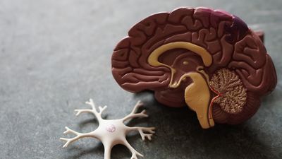 Pancreatitis aguda: Causas y prevención