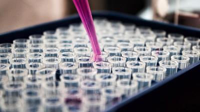 Trasplante de microbiota fecal: ¿El futuro de la gastroenterología?