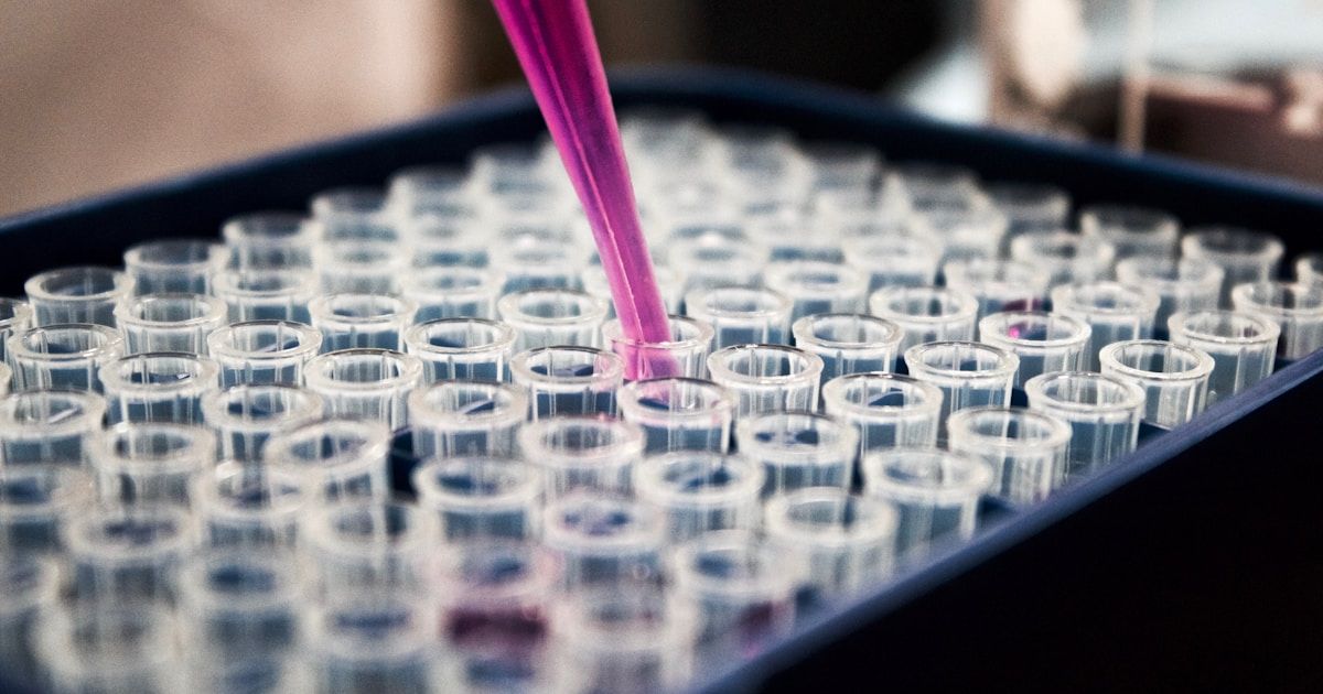 Trasplante de microbiota fecal: ¿El futuro de la gastroenterología?