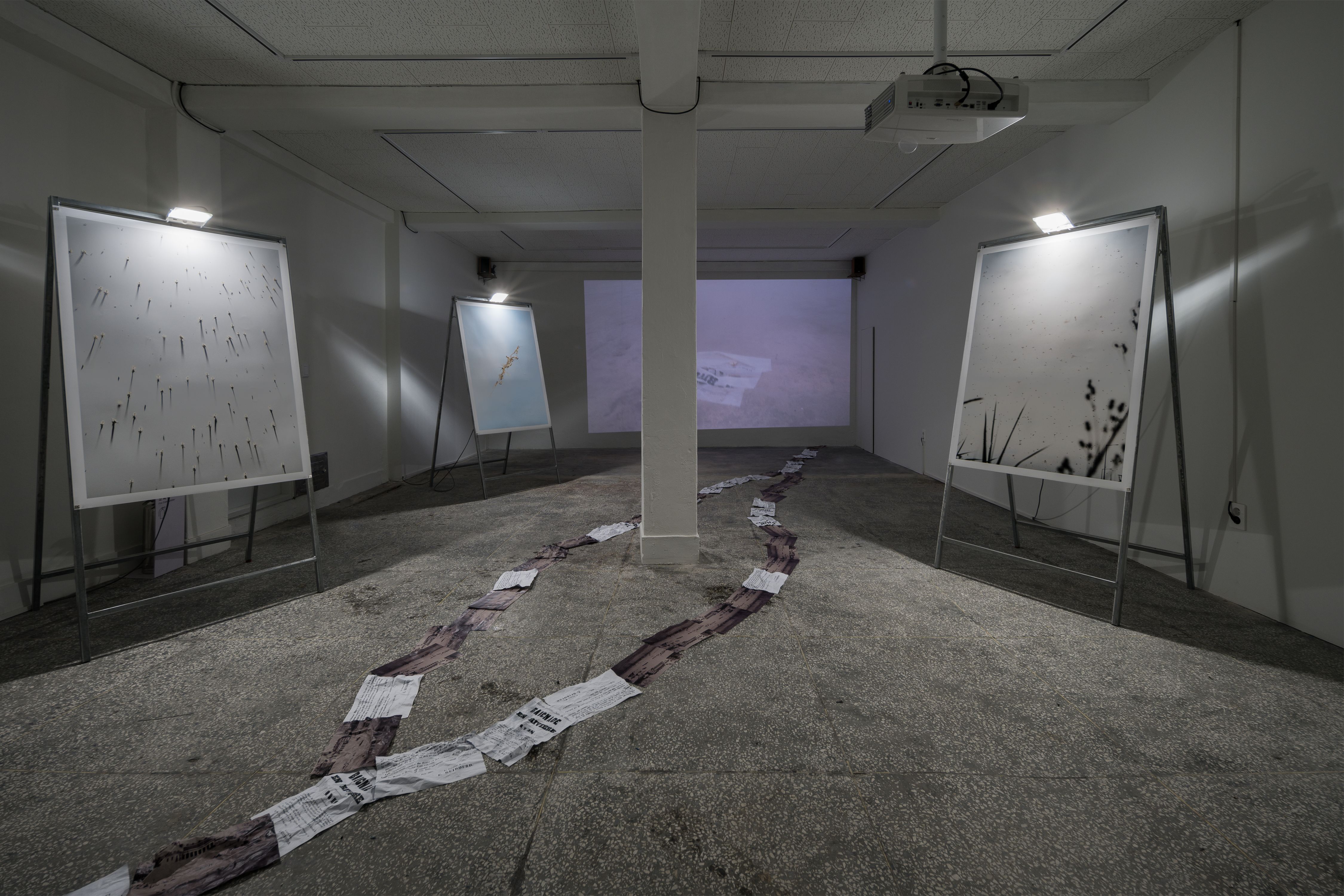 관점들과 관계들 (Installation view)