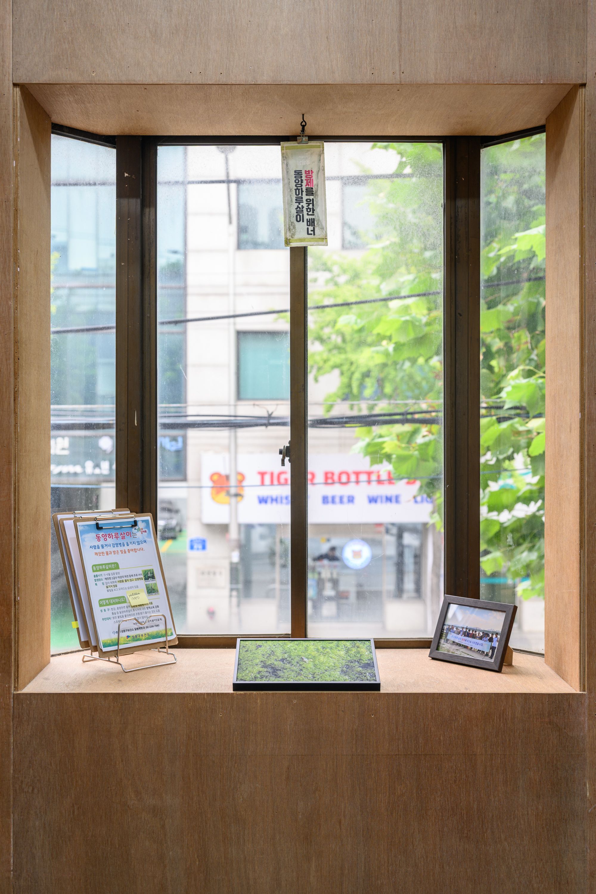 호롤롤로 사이트 (Installation view)