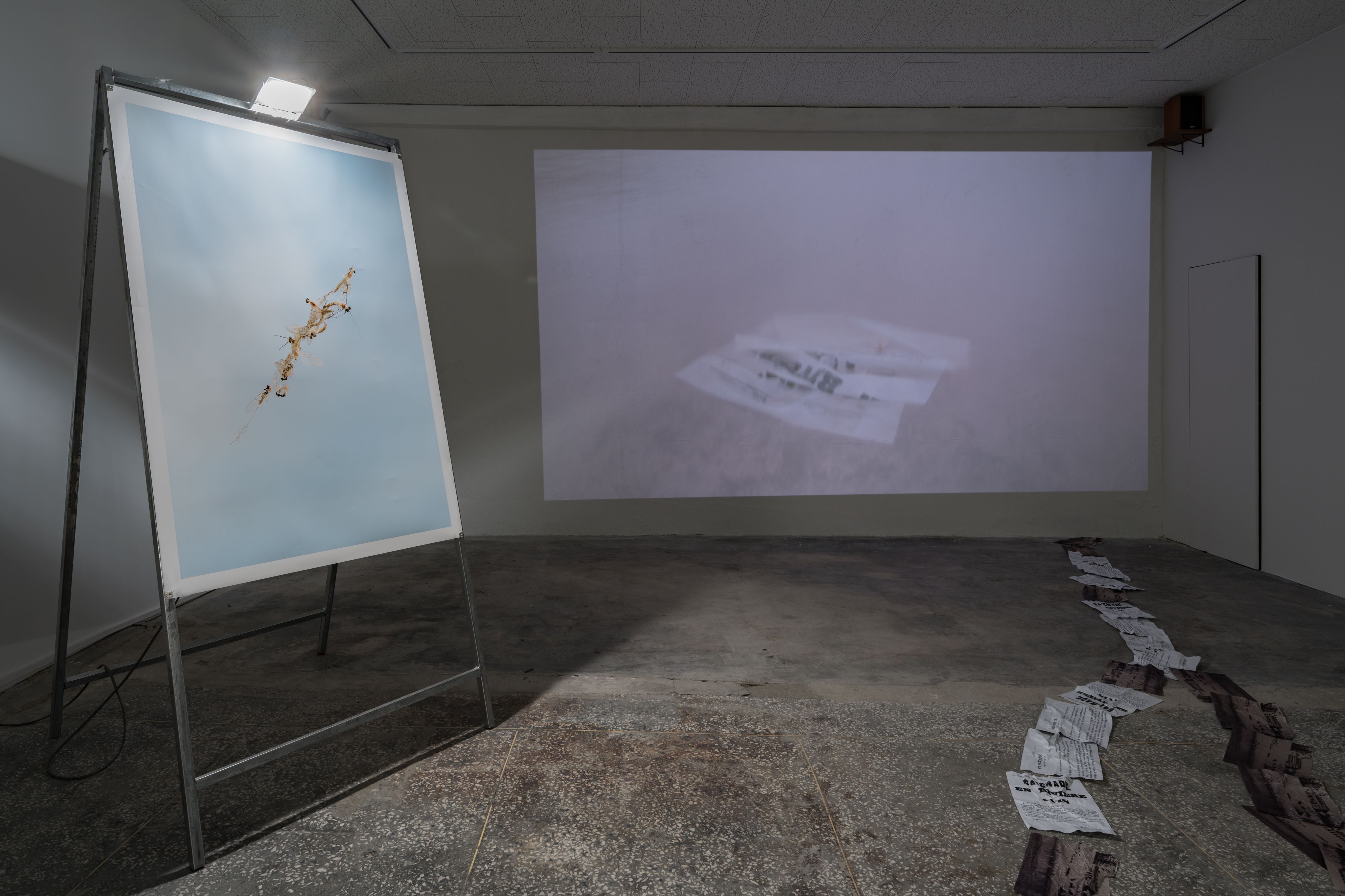 관점들과 관계들 (Installation view)