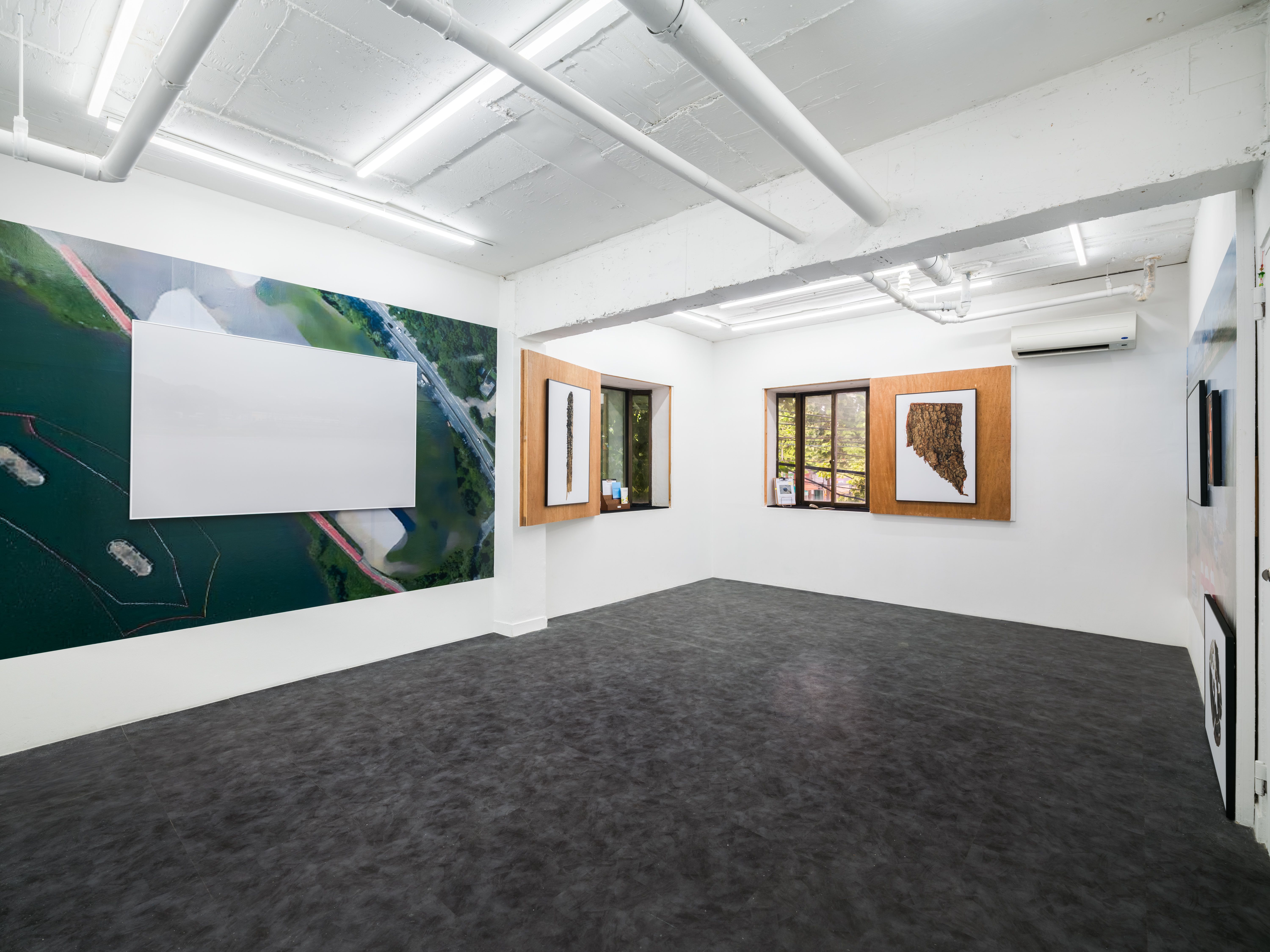 호롤롤로 사이트 (Installation view)