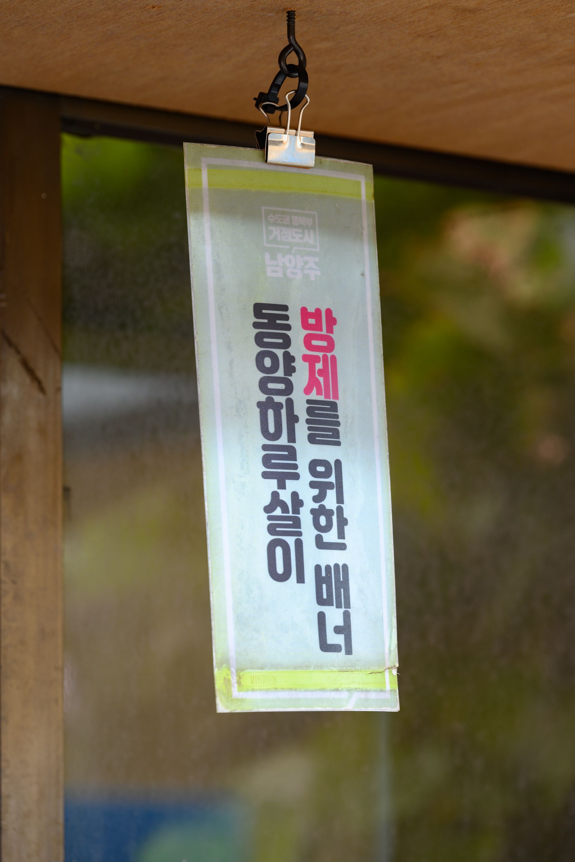 호롤롤로 사이트 (Installation view)
