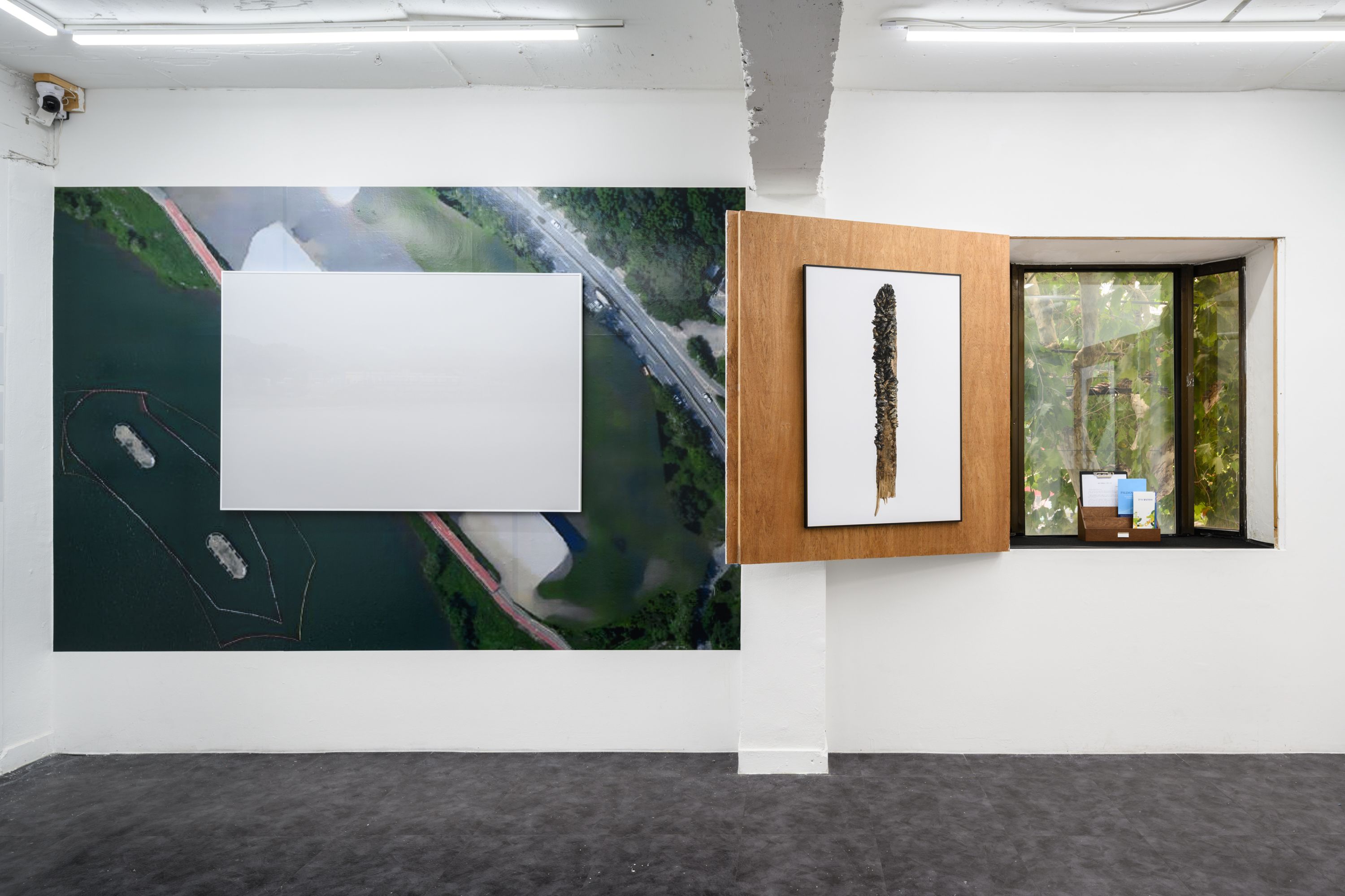 호롤롤로 사이트 (Installation view)