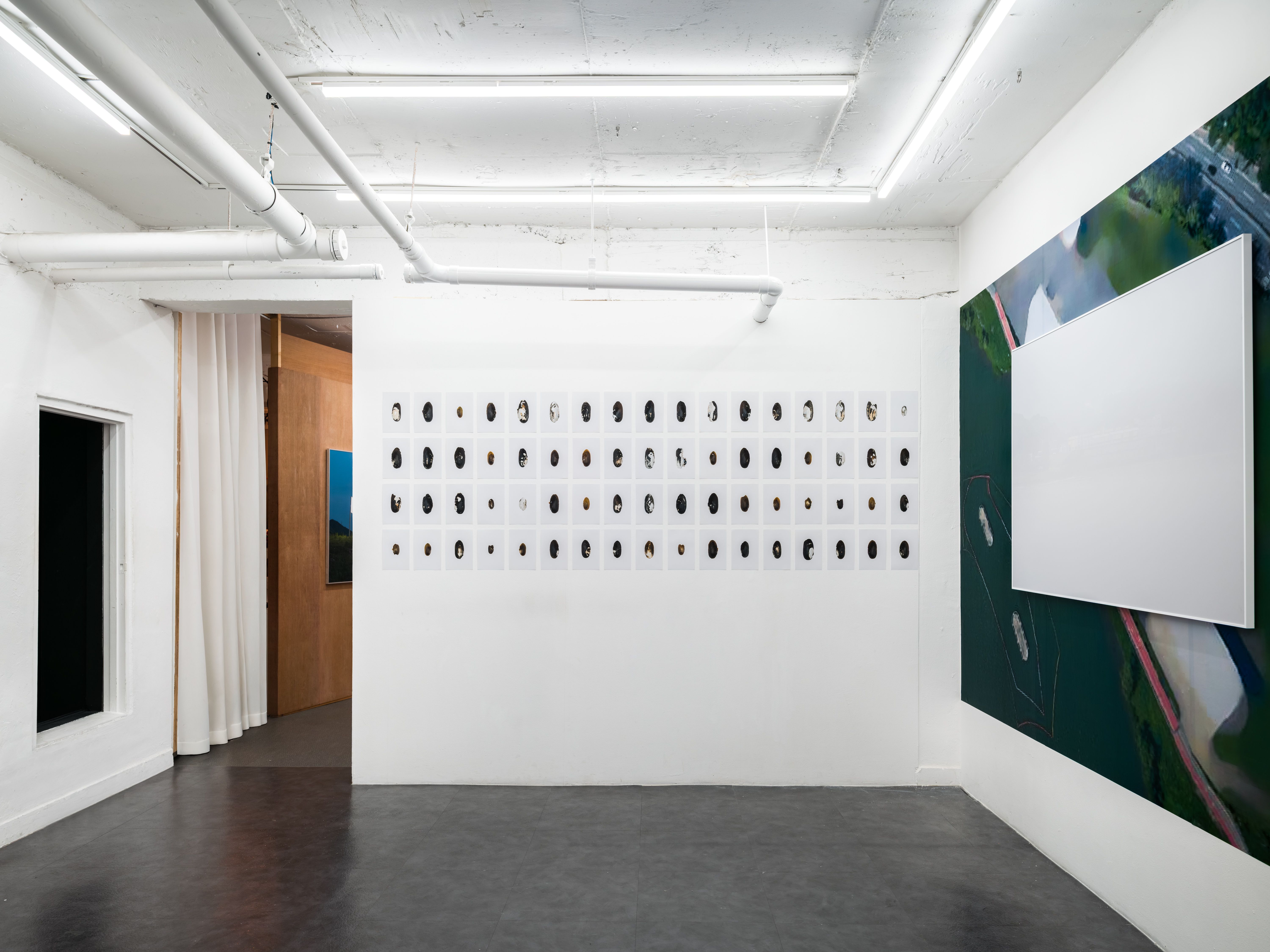 호롤롤로 사이트 (Installation view)
