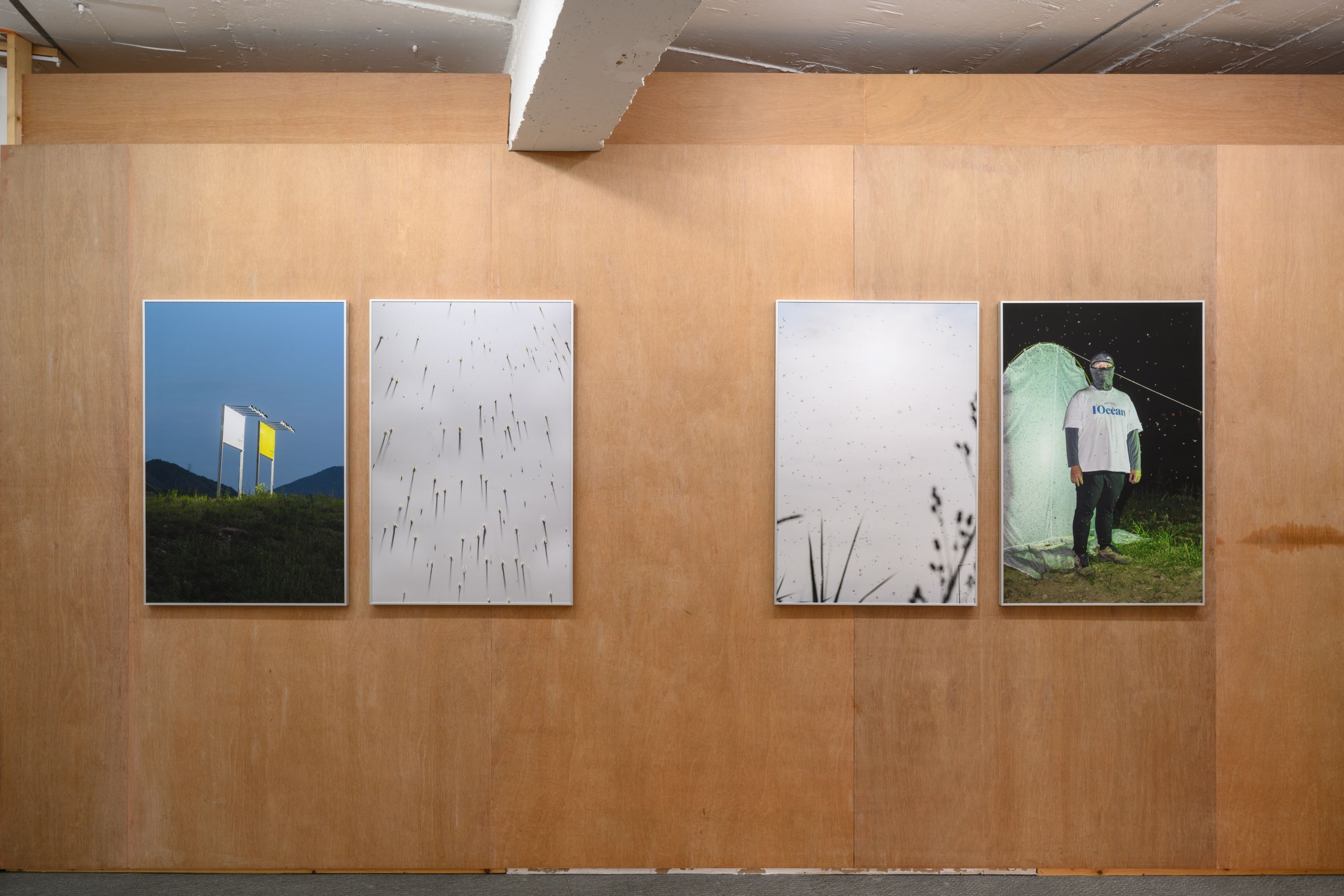 호롤롤로 사이트 (Installation view)