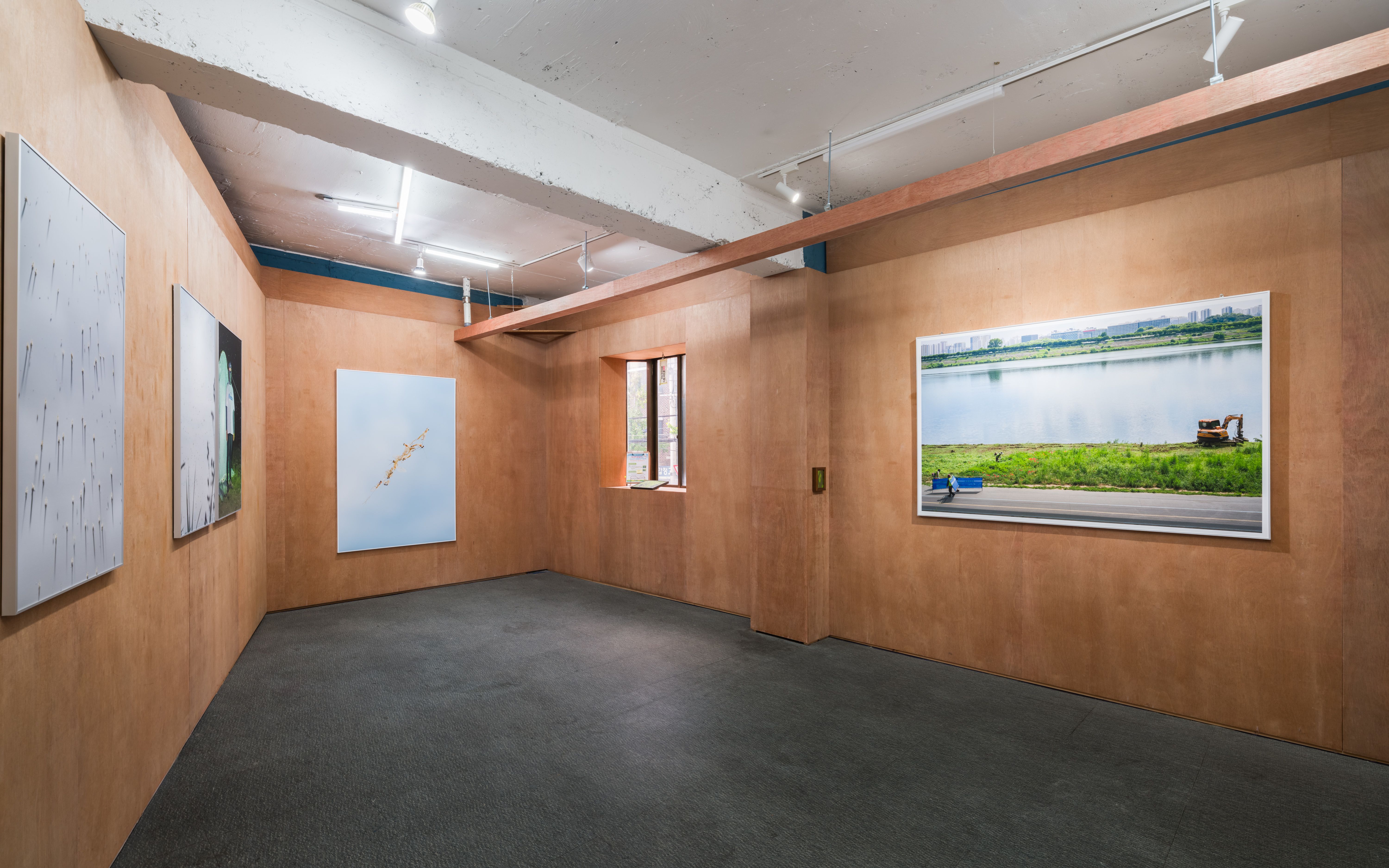 호롤롤로 사이트 (Installation view)