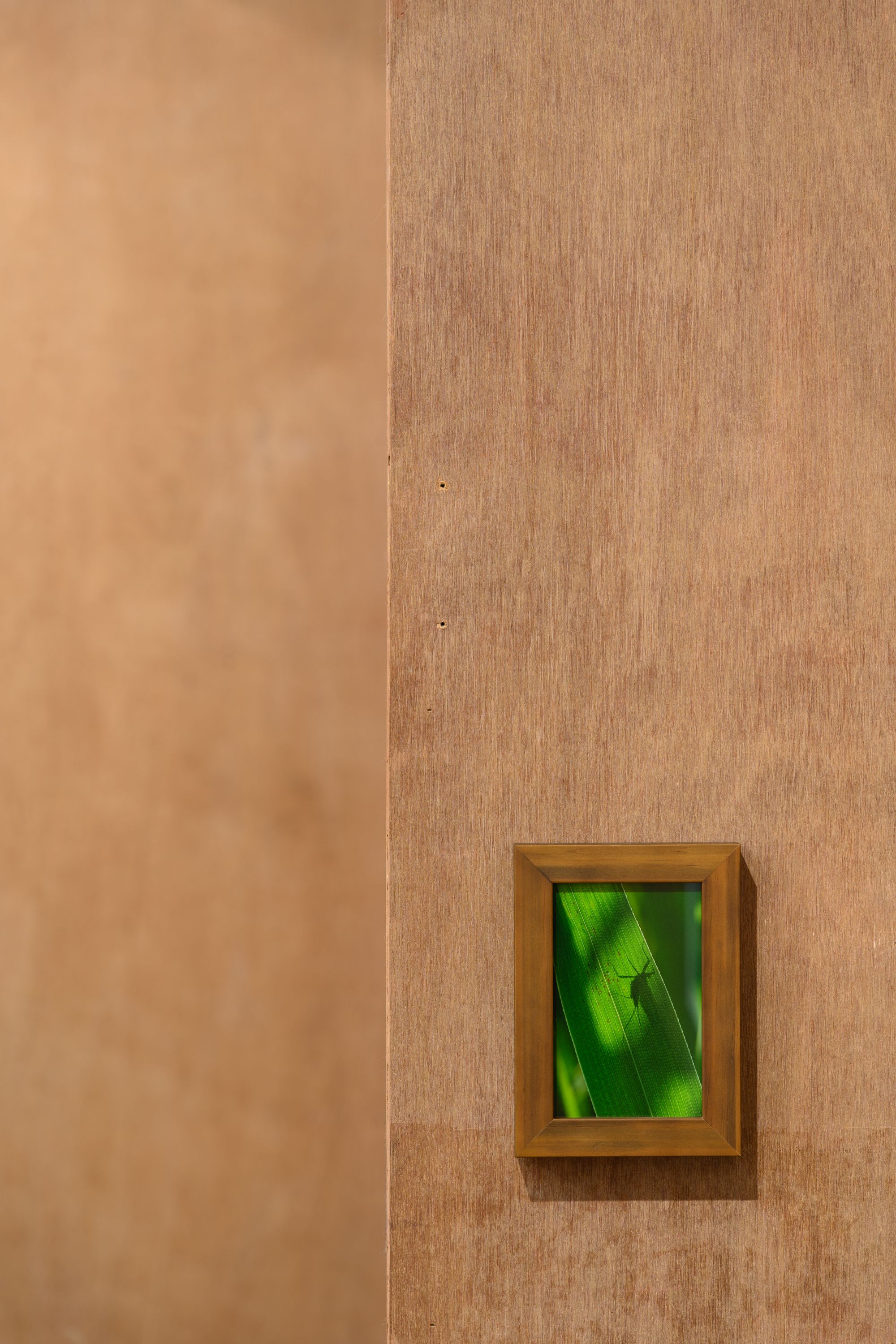호롤롤로 사이트 (Installation view)