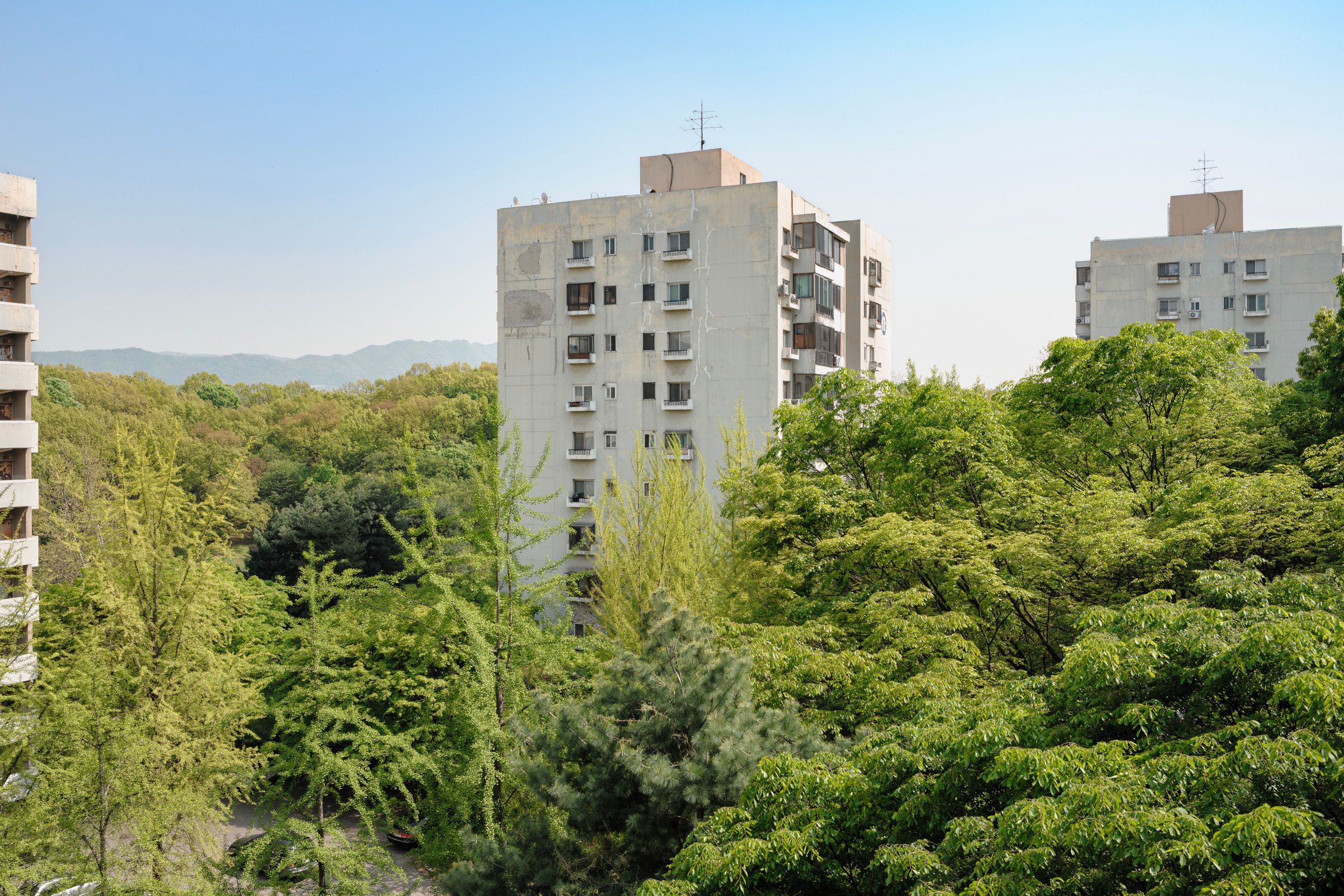 아파트 숲 4
