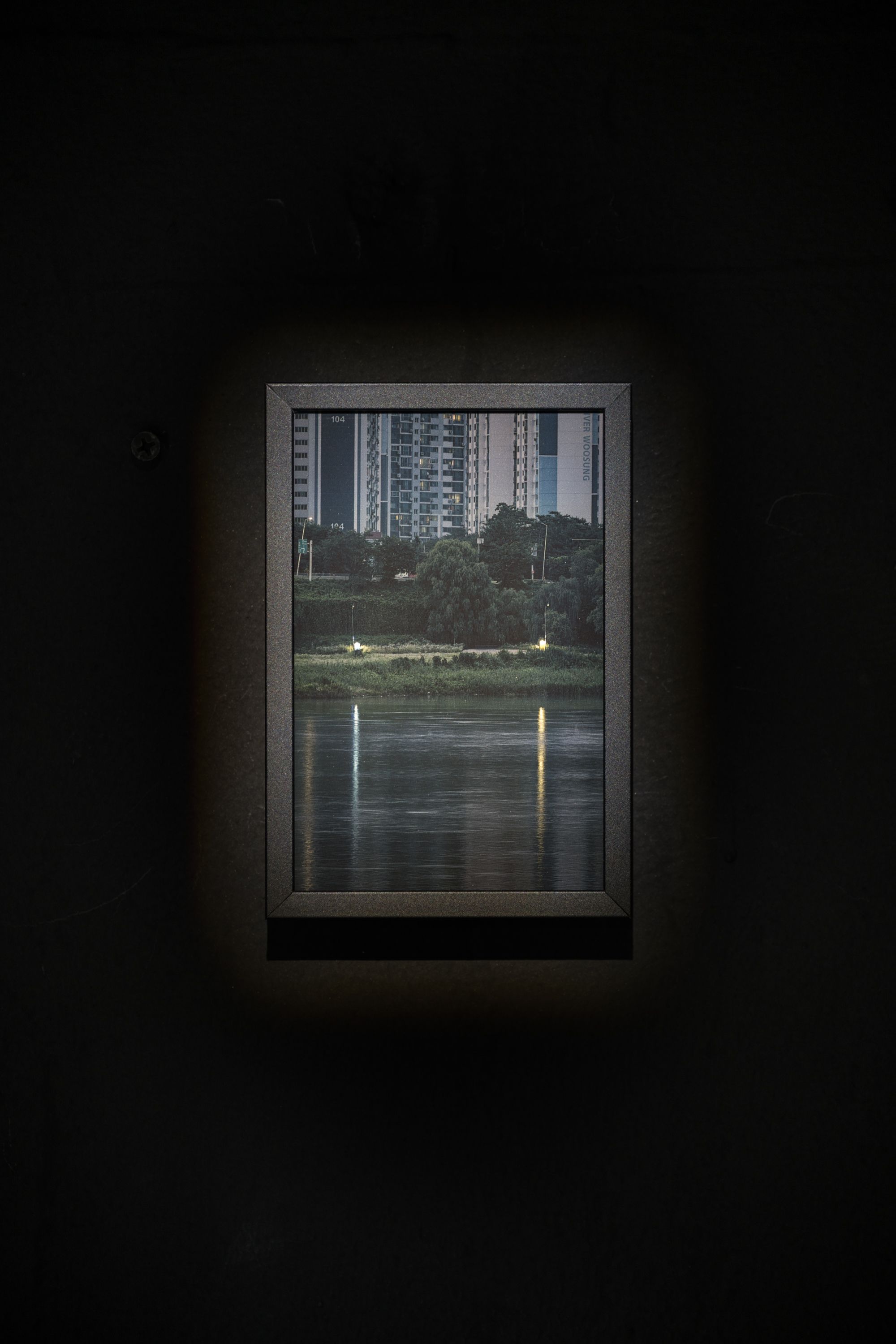 호롤롤로 사이트 (Installation view)