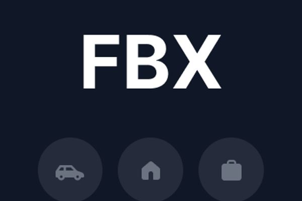 FBX – Redesign Aplikacji Ogłoszeniowej i Kampania Performance