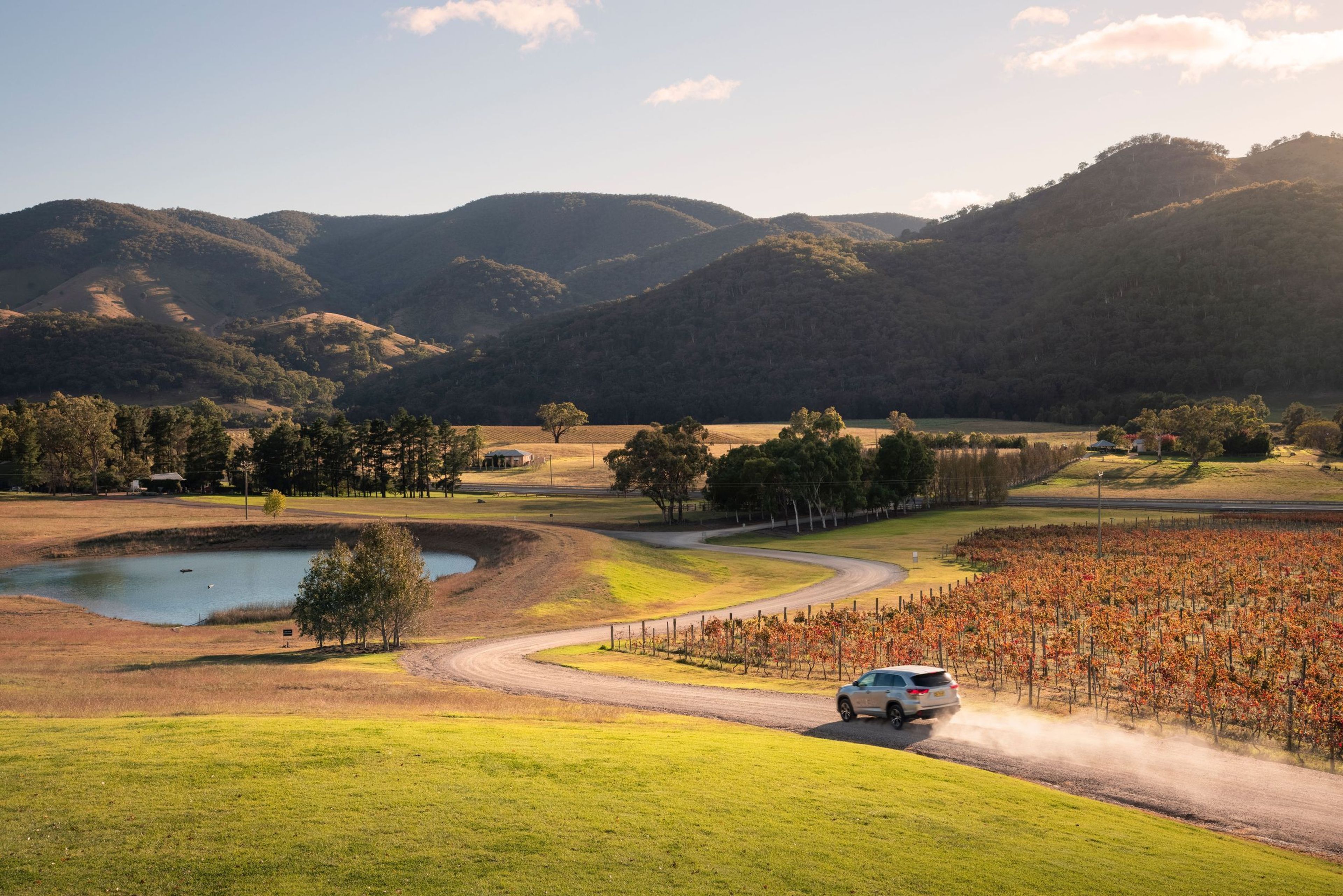 Logan Wines, Apple Tree Flat - Destination NSW