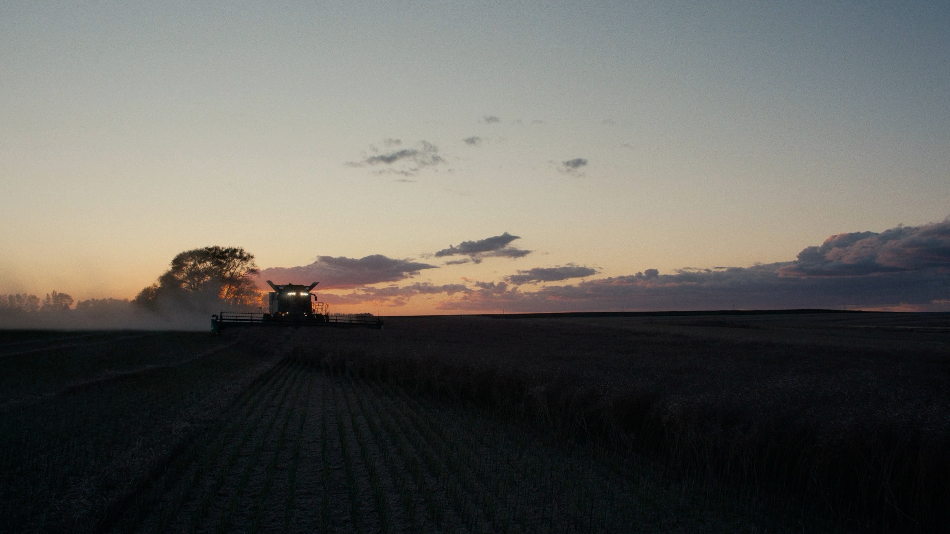 Video poster - A decorative image from Usal Project