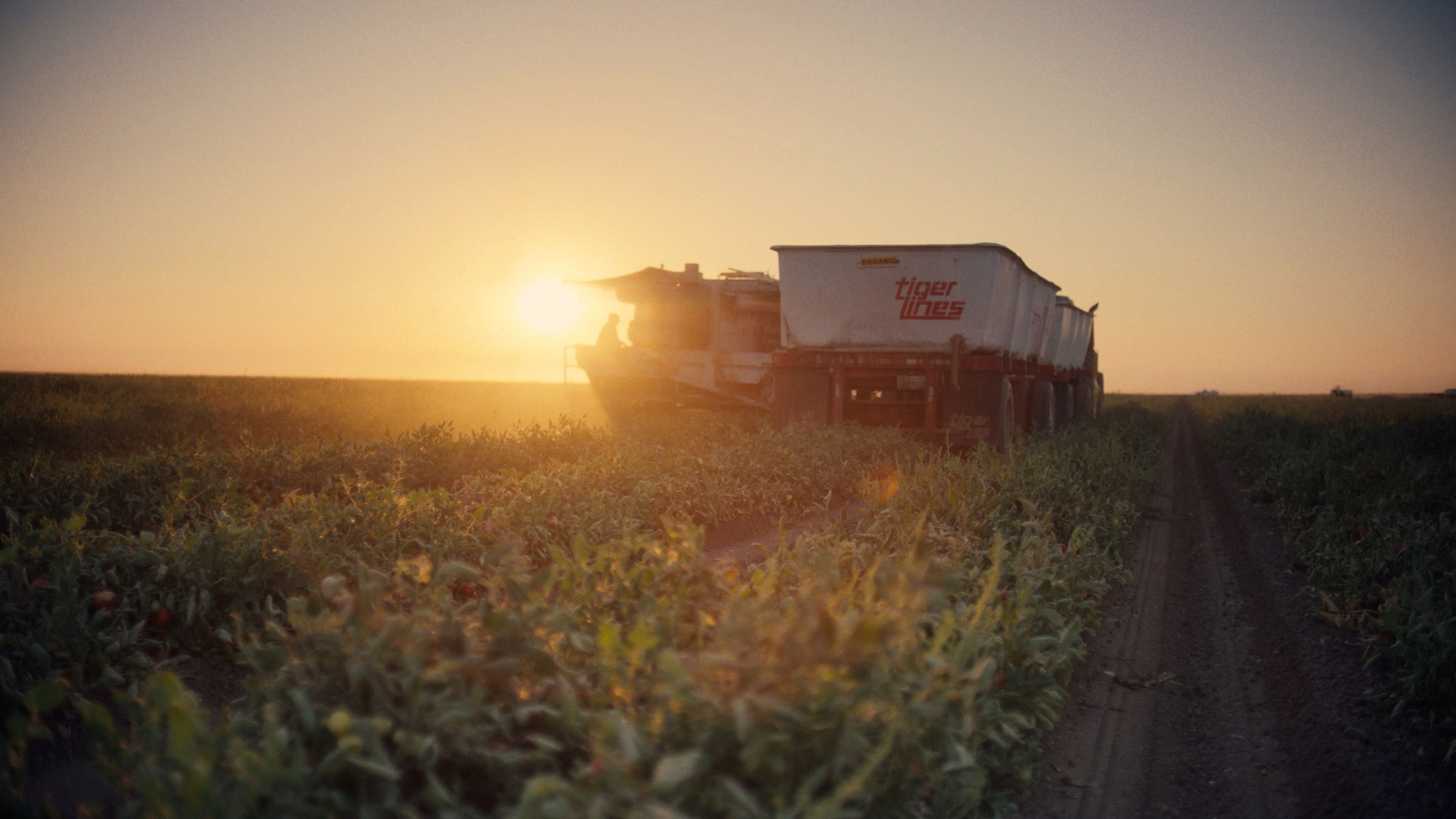 A decorative image from Usal Project