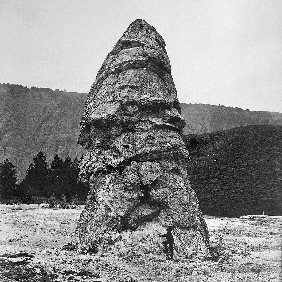 A decorative image from Usal Project