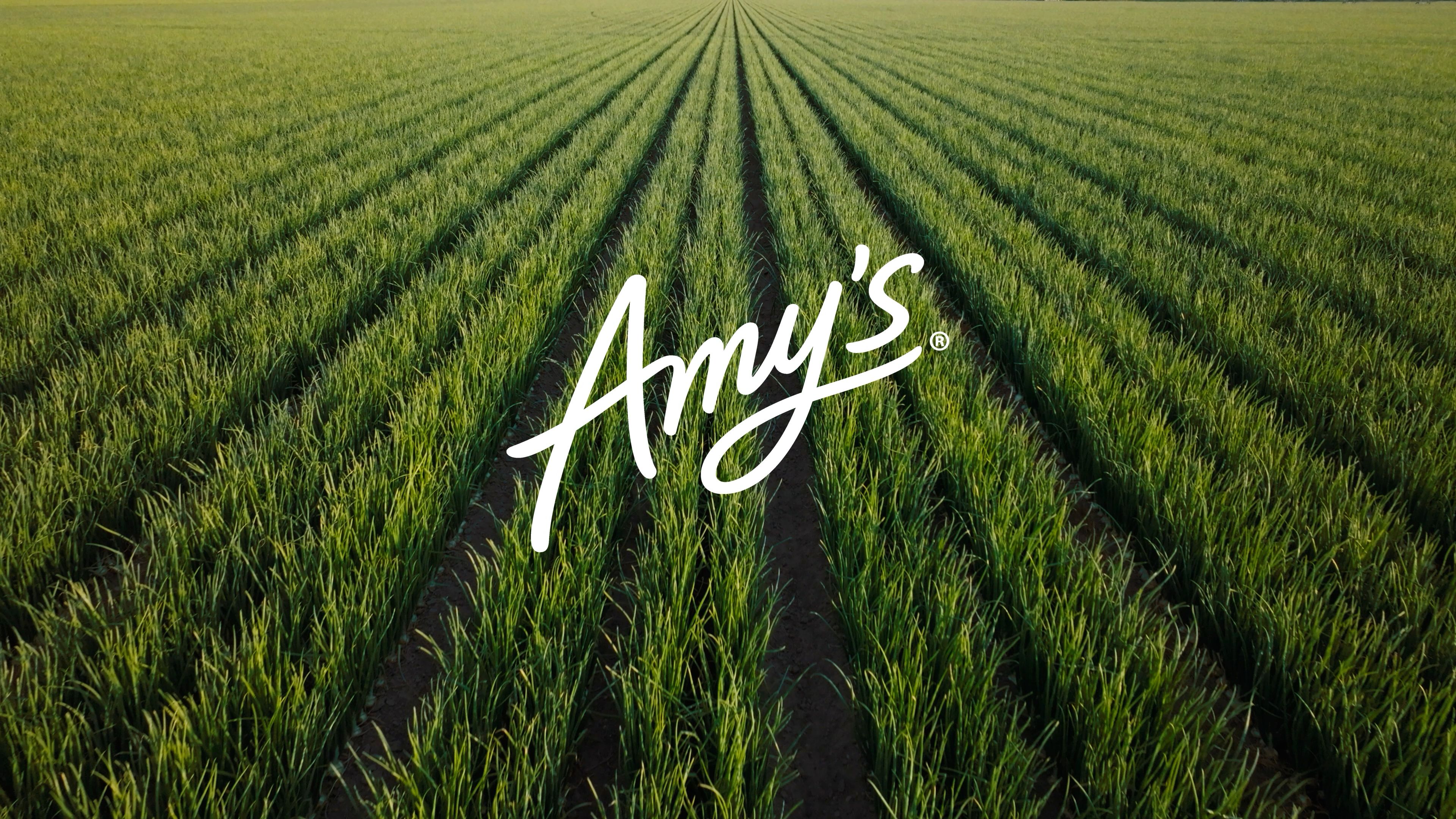 A decorative image from Usal Project