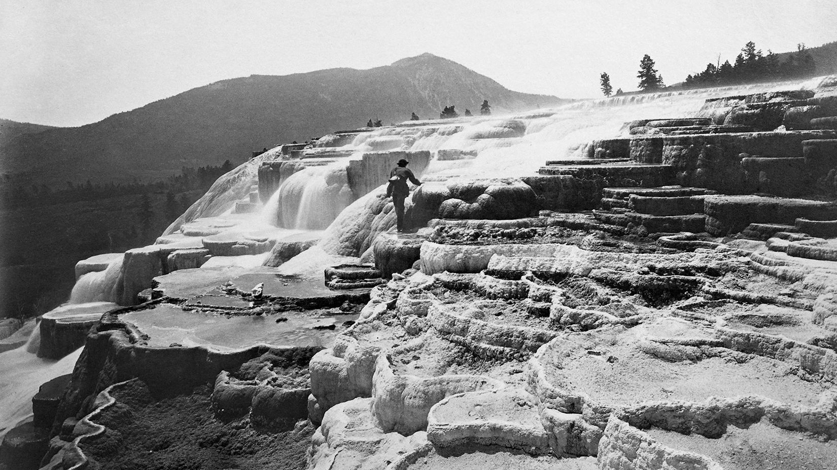 A decorative image from Usal Project