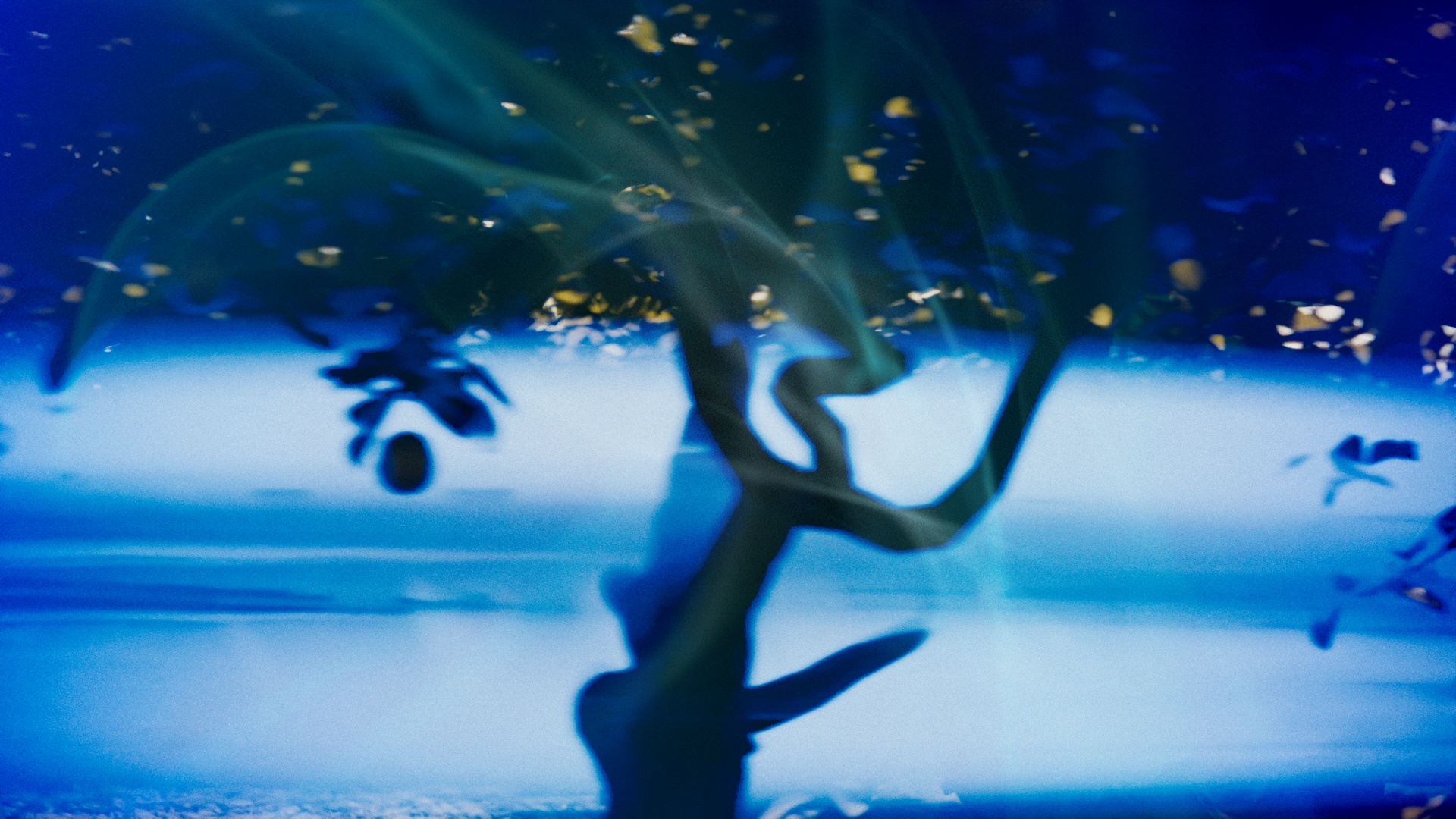 A decorative image from Usal Project