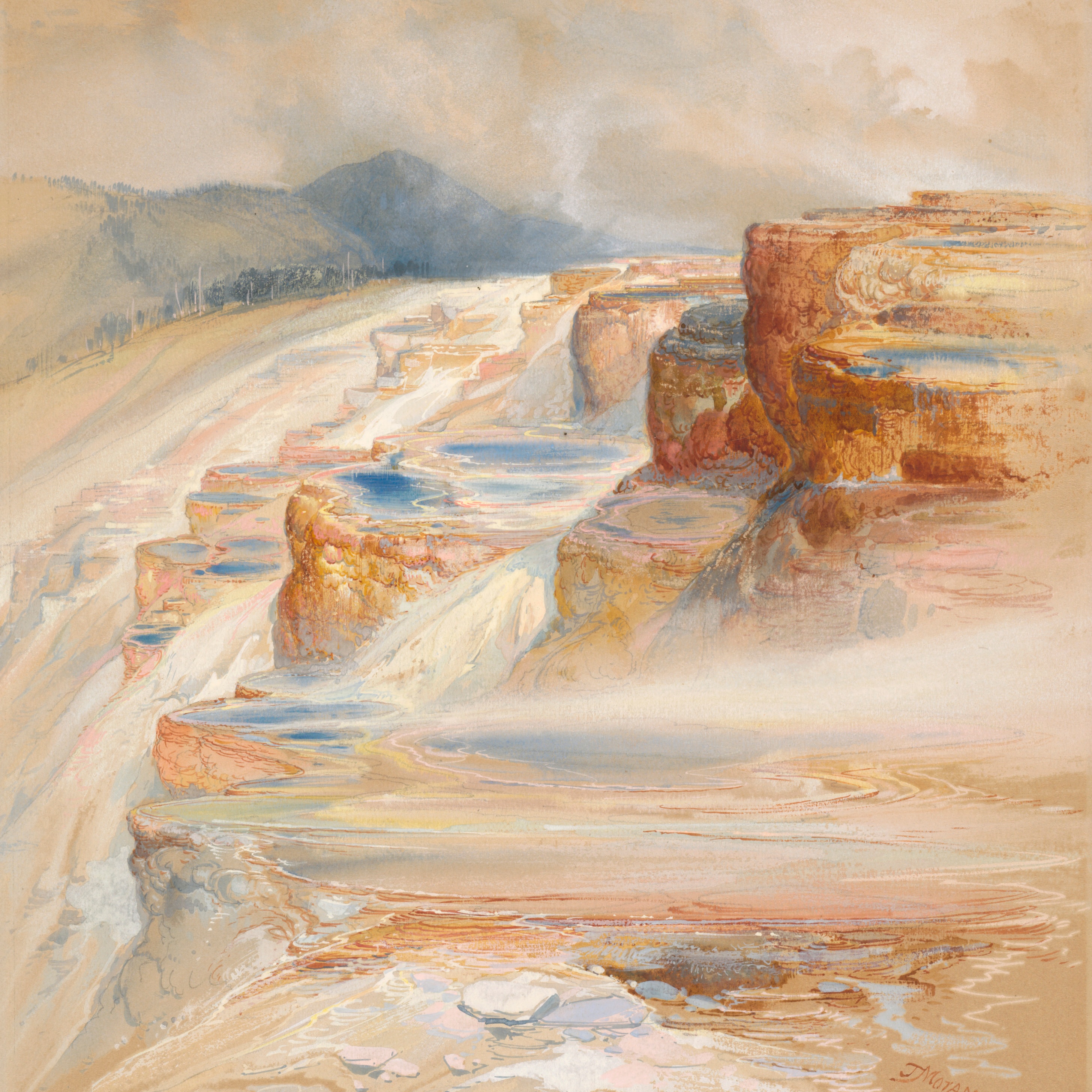 A decorative image from Usal Project