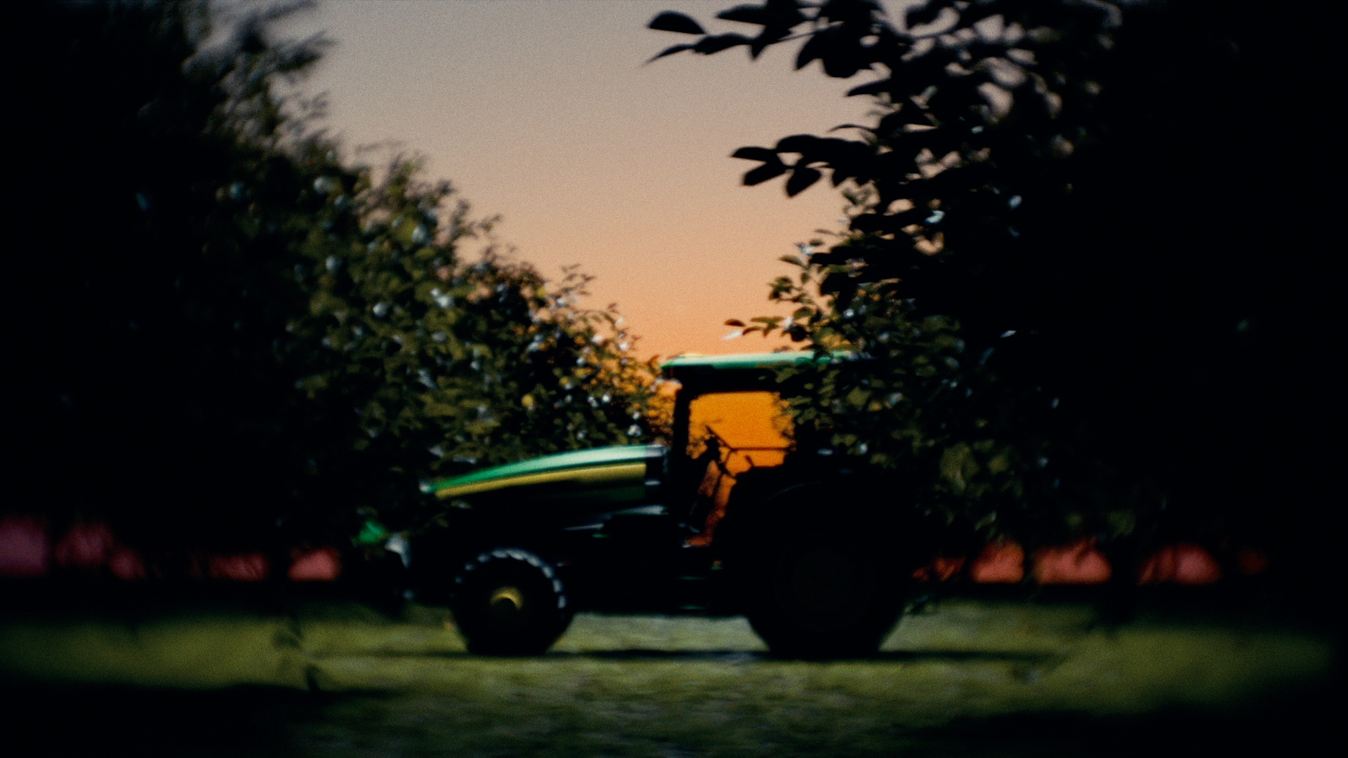 Video poster - A decorative image from Usal Project