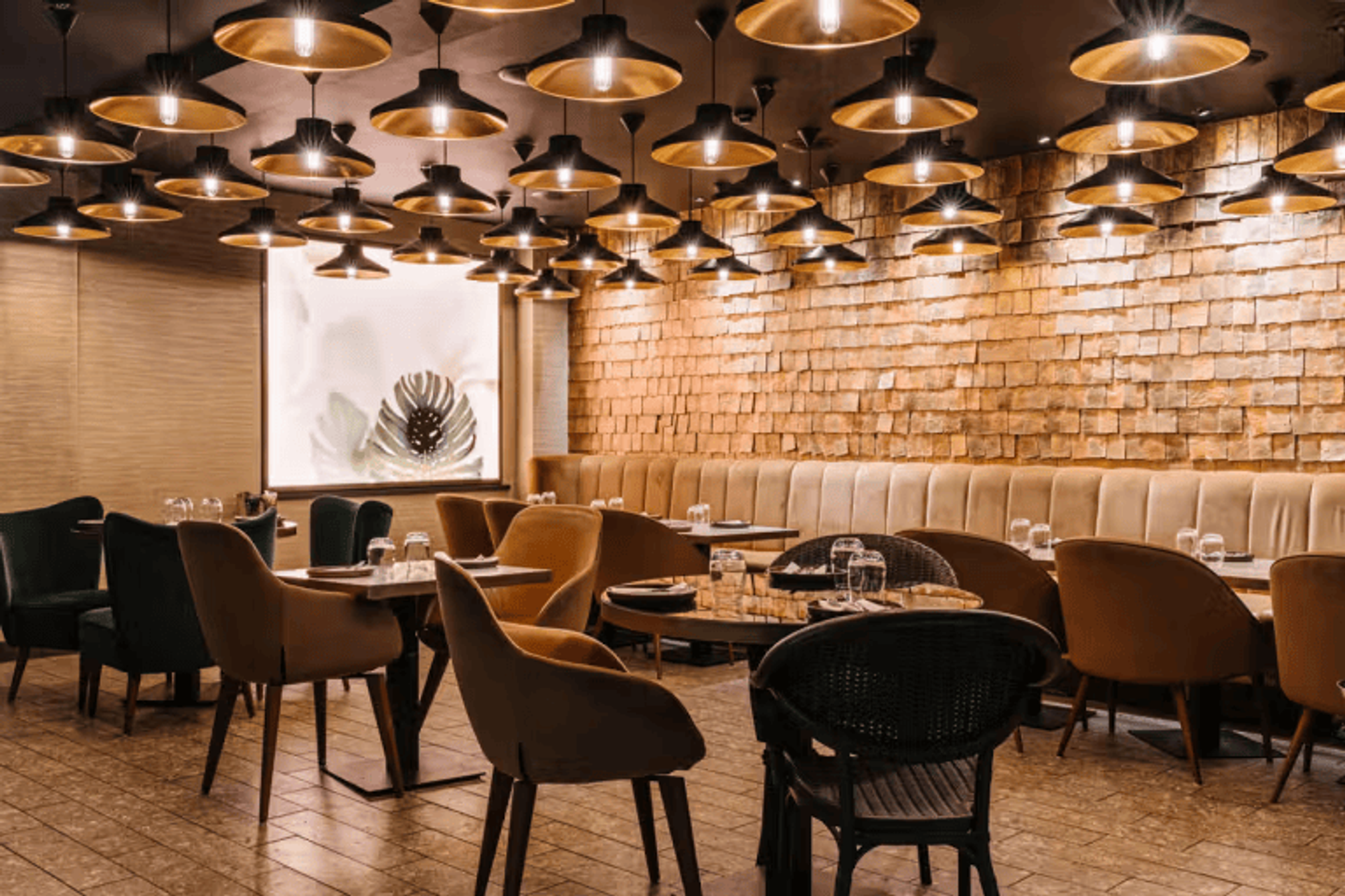 What Makes a Farzi Dining Experience Different