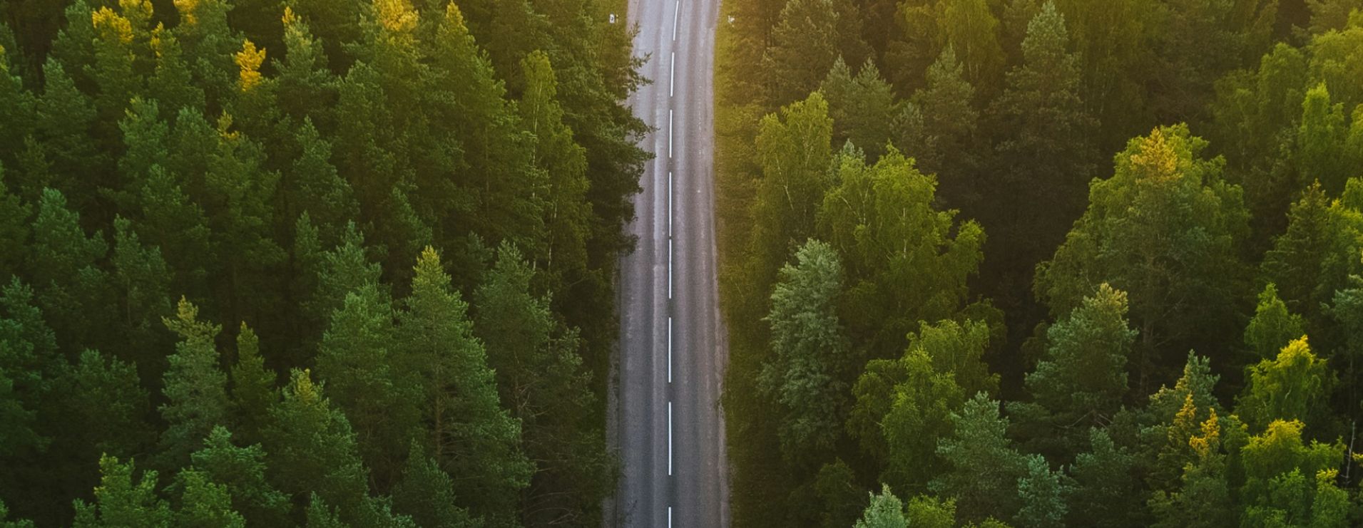 Drive the Future you Trusted