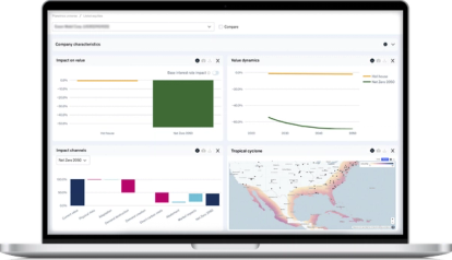 Company-level insights on screen