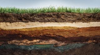 soil cross section