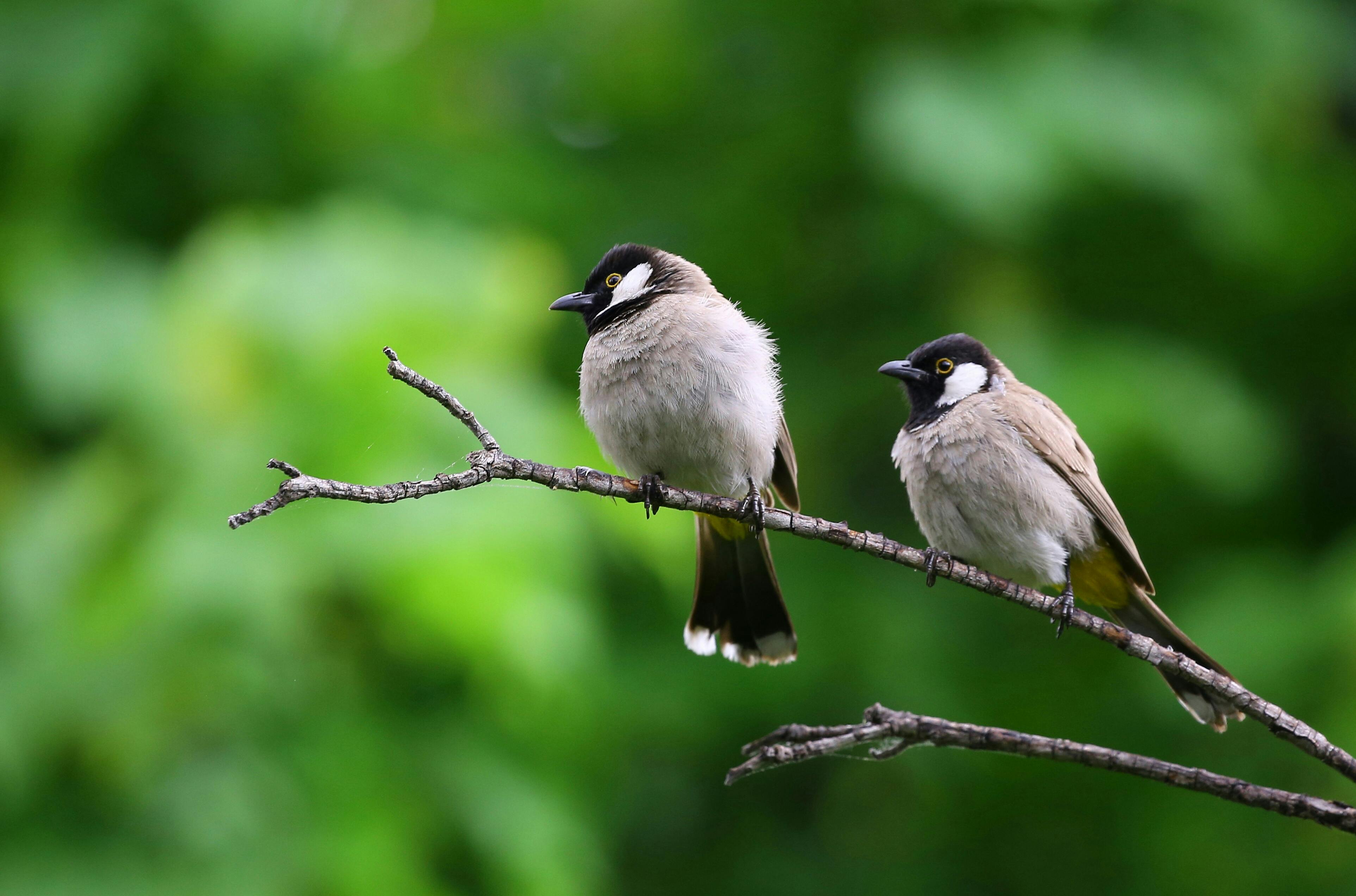 CSRD Webinar Series: Navigating The Environmental ESRS: Biodiversity ...