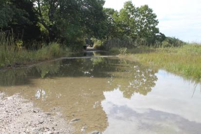 Flooding in Bluff Point Reserve from the Poquonnock River