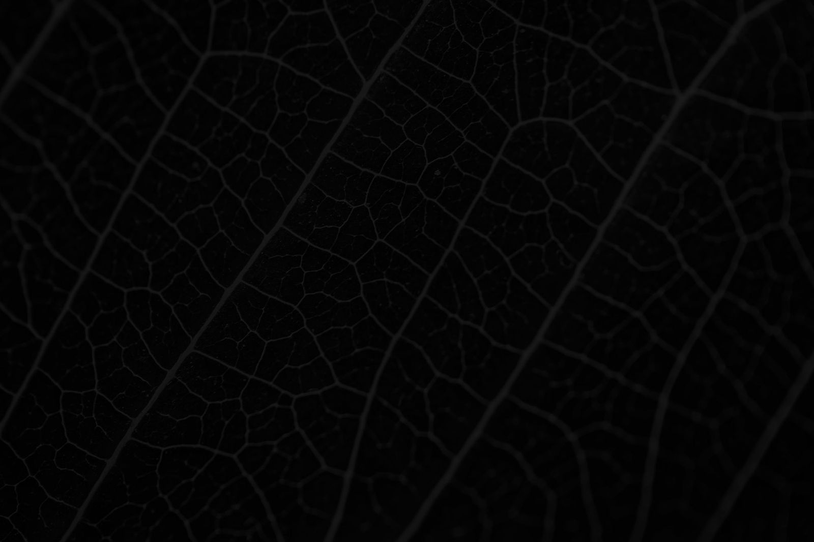 Planning SLR Consulting planning-slr-consulting