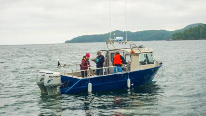 Boat work crew on the water close up