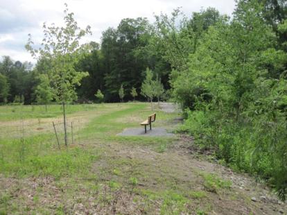 Meander bend created on upper floodplain, where previously straightened