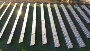 Sunlight gleaming on solar farm