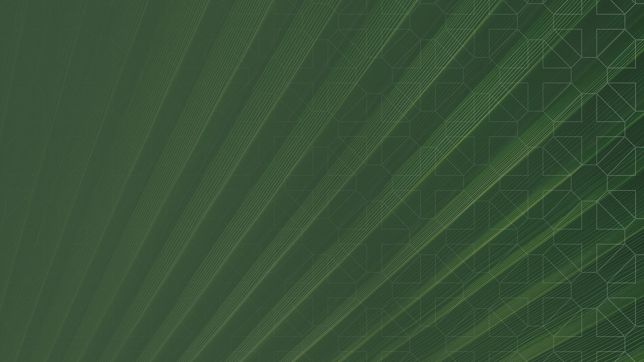 Palm leaves with SLR gradient and pattern overlaid