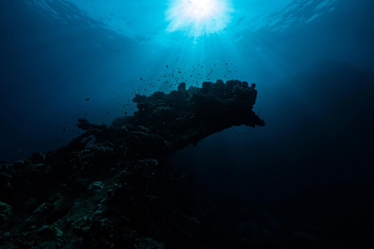 Mining the deep: The impact of underwater noise pollution on marine life