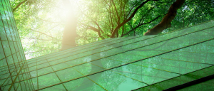 Upwards view of glass offices with trees above