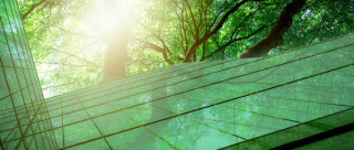 Upwards view of glass offices with trees above