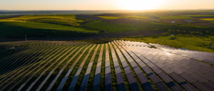 Sunset over solar panels in a green field located in countryside, showing renewable energy in action during late afternoon