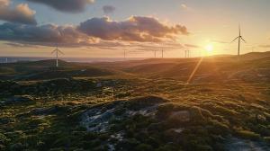 Field with wind turbines
