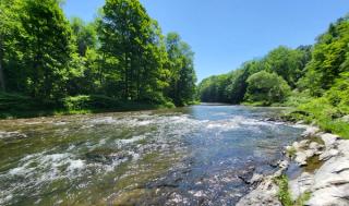 Looking downstream of the Mettawee River