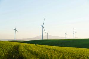 Wind farm on some green fields, golden hour with mountains in the background. 
