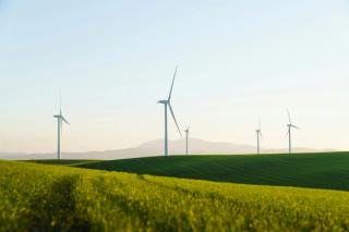 Wind farm on some green fields, golden hour with mountains in the background. 