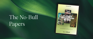 The No-Bull Papers with screenshot of front cover