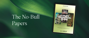 The No-Bull Papers with screenshot of front cover