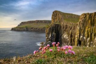 Image of cliffs in Scotland