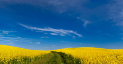 Colours representing the Ukraine flag