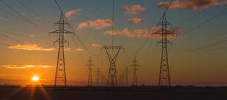 Powerlines at dawn