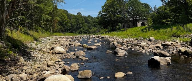 Water flows through a rocky river bed surrounded by lush, green vegetation and trees with a stone structure in the distance.